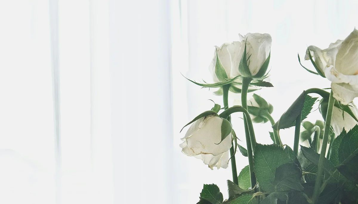 Memorial & Tribute Florals