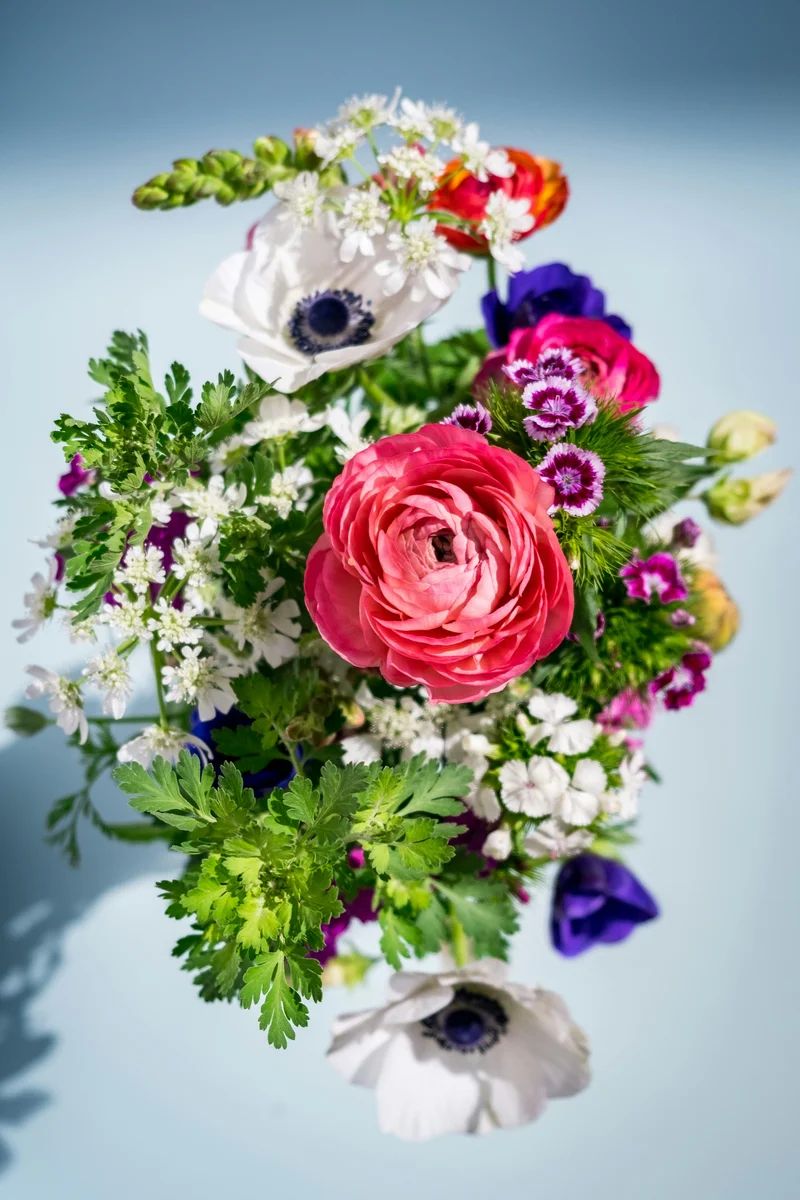 Baby's Breath & Rose Accent