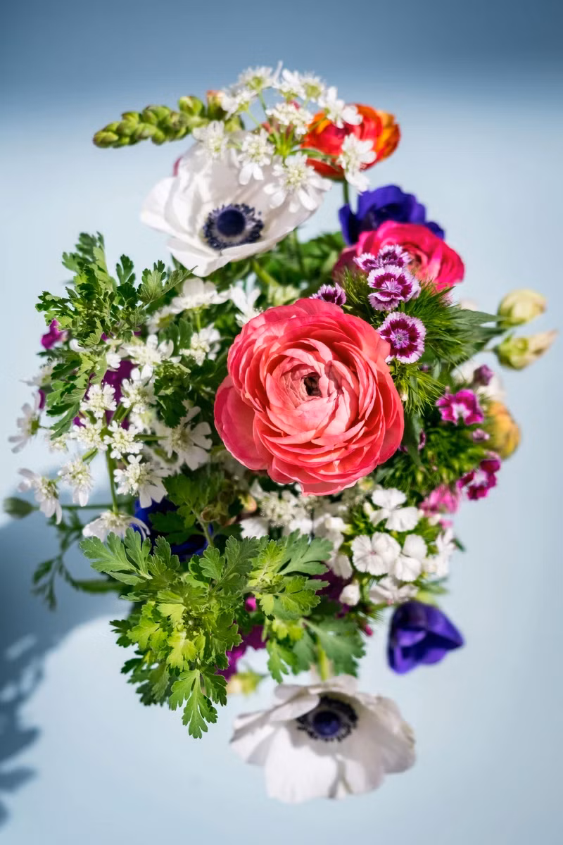 Baby's Breath & Rose Accent - Fresh Stems available in Washington DC | Tempo Lazer Flowers Studio, Washington DC florist