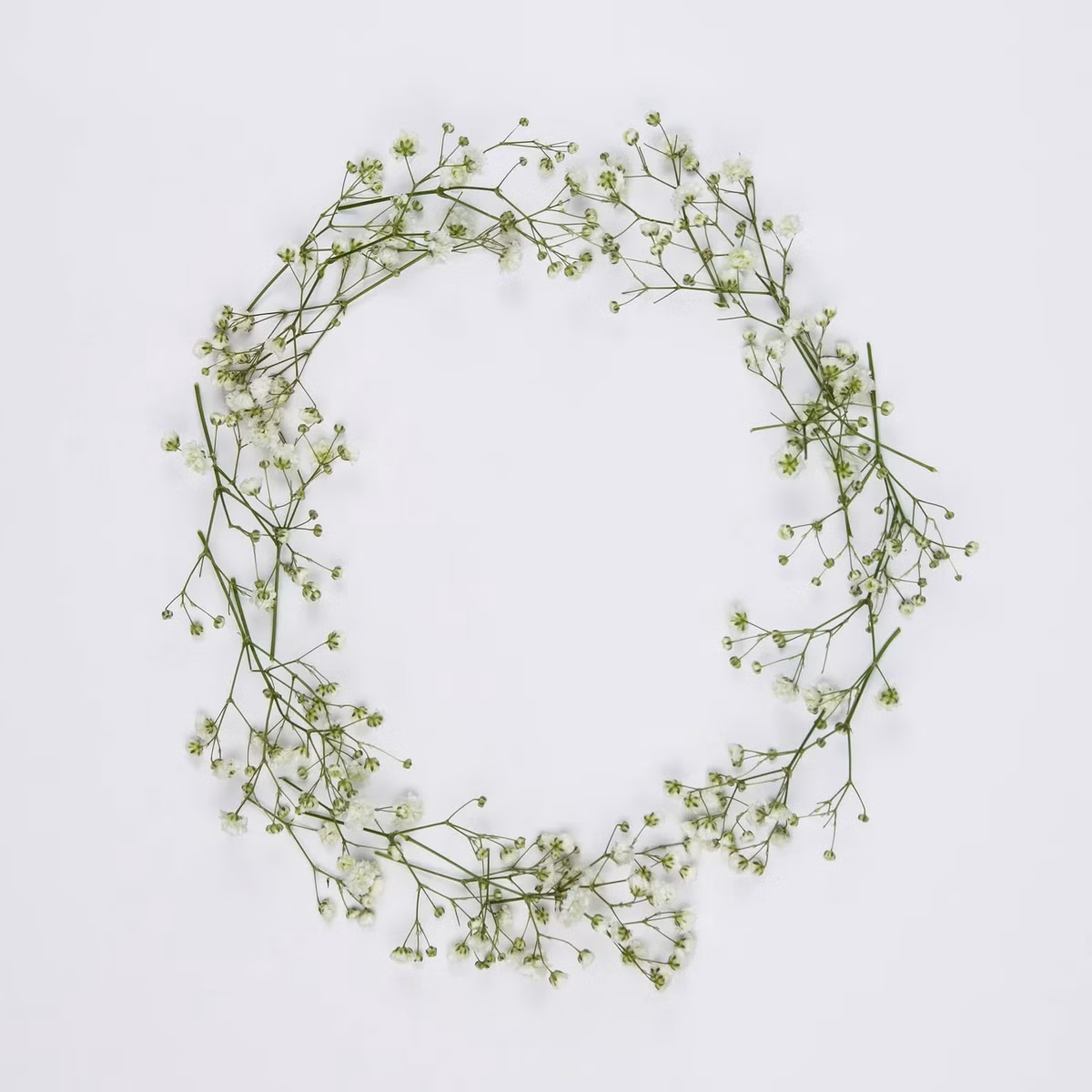 Baby's Breath - Fresh Stems available in Washington DC | Tempo Lazer Flowers Studio, Washington DC florist