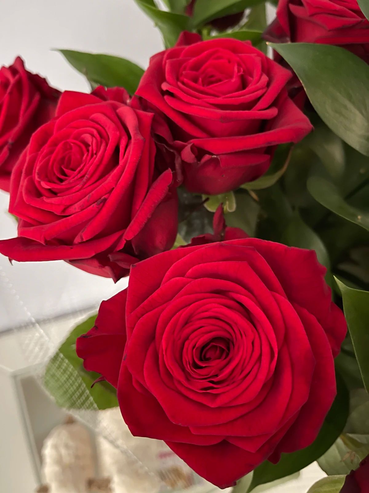 Black-Tipped Rose Arrangement