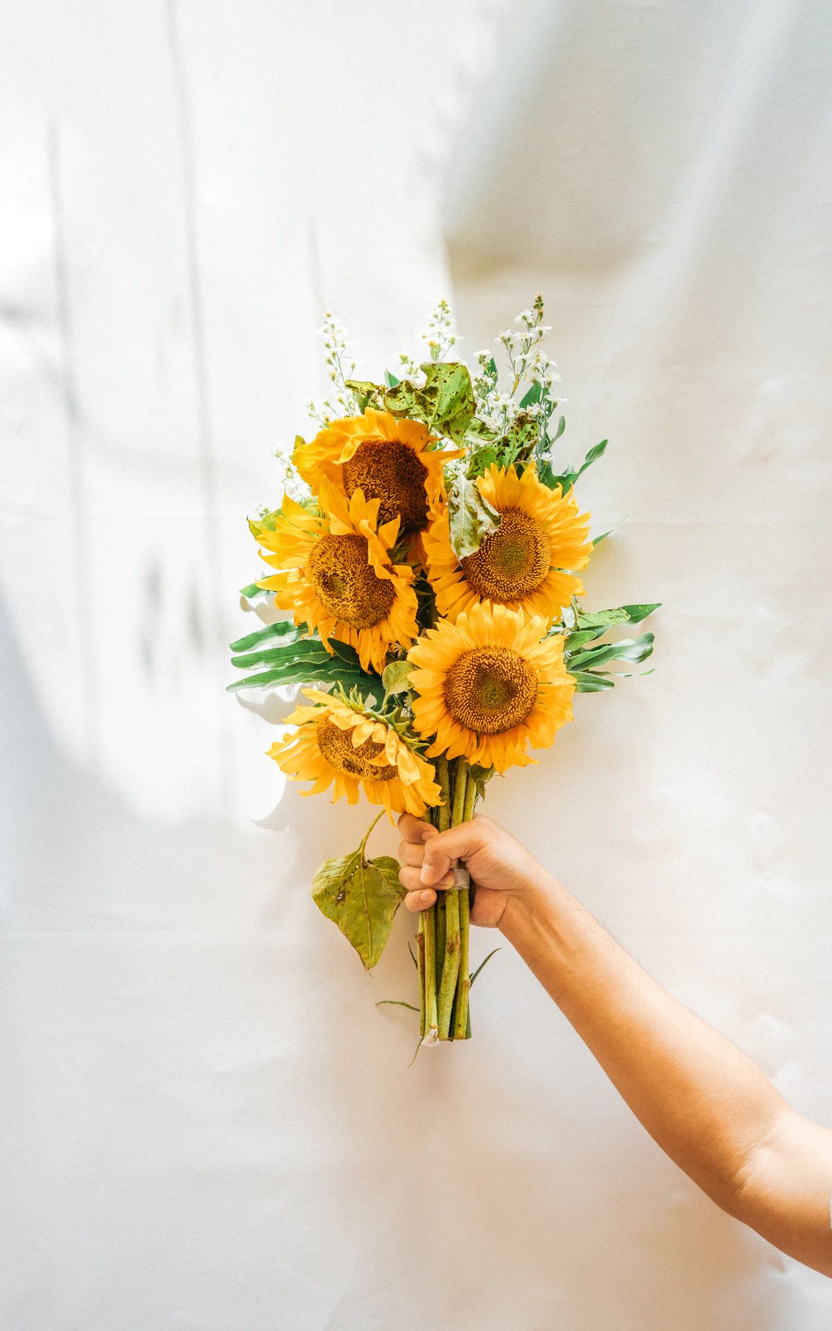 Classic Sunflower Bouquet - Classic Sunflower Bouquet: Букет · Tempo Lazer Flowers Studio. | Tempo Lazer Flowers Studio, Washington DC florist