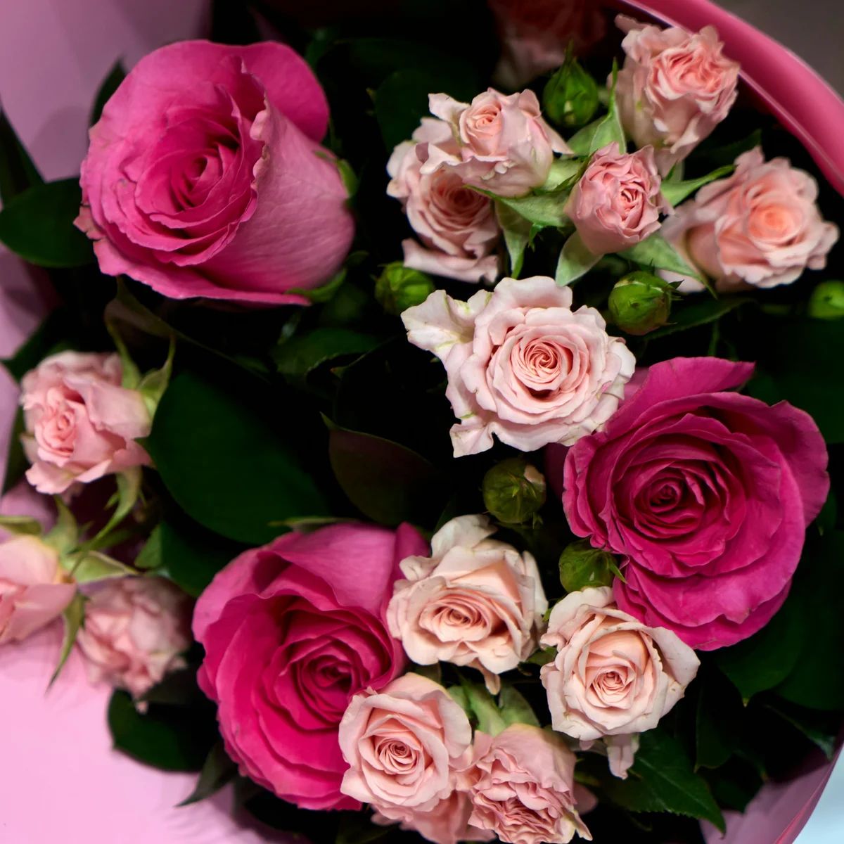 Cream Lisianthus