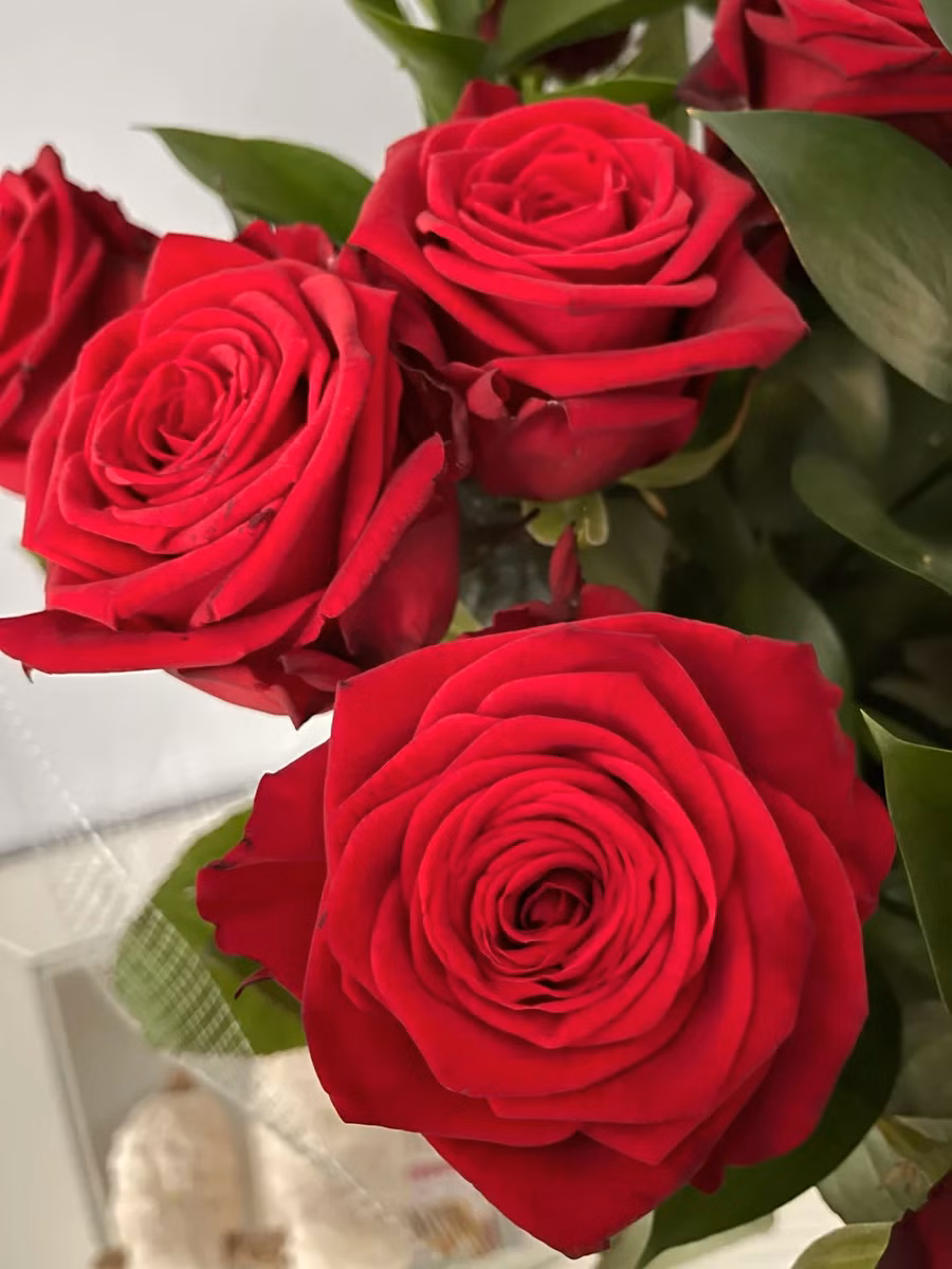 Dozen Red Roses - Fresh Stems available in Washington DC | Tempo Lazer Flowers Studio, Washington DC florist