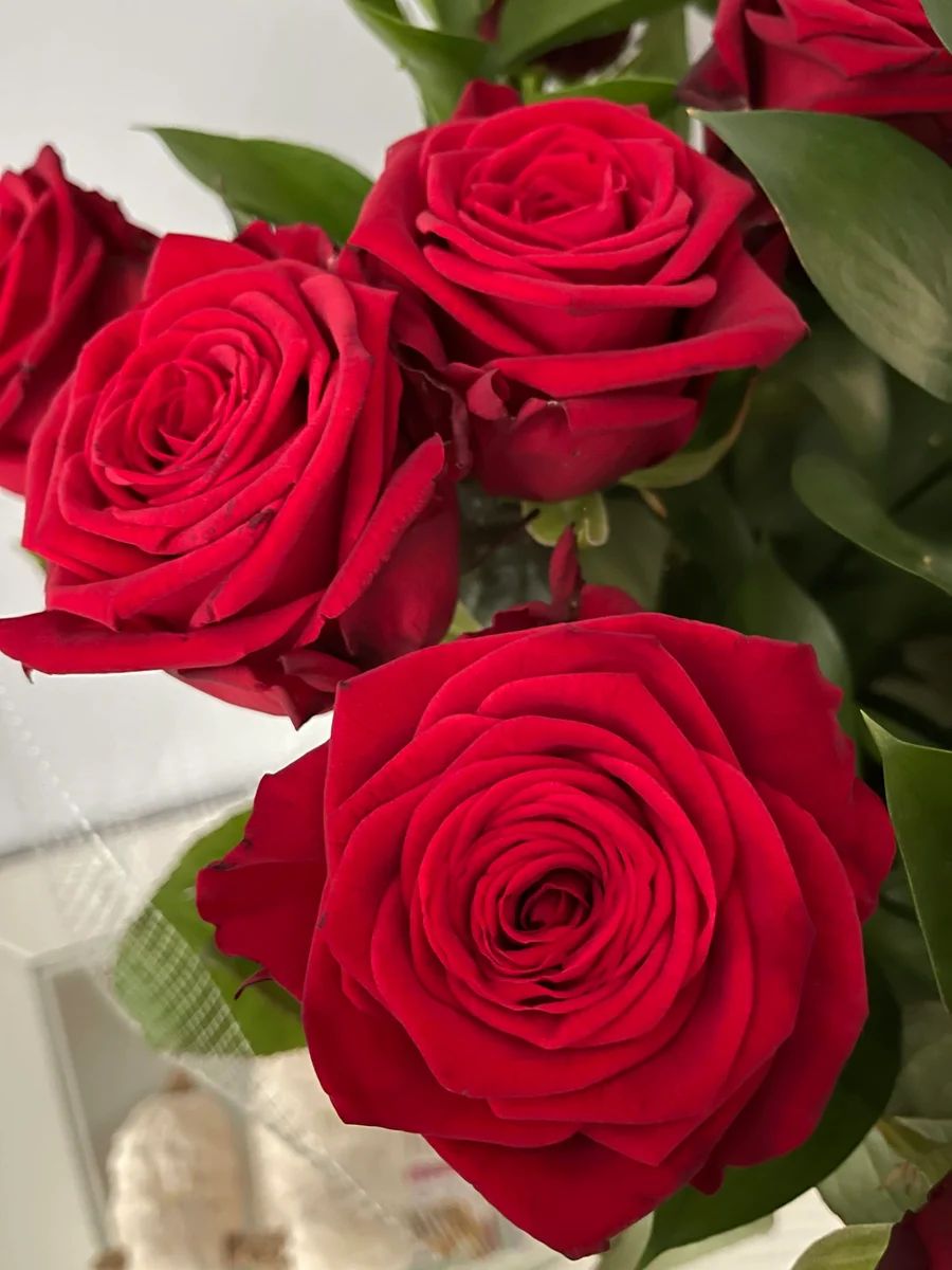 Dozen White Roses