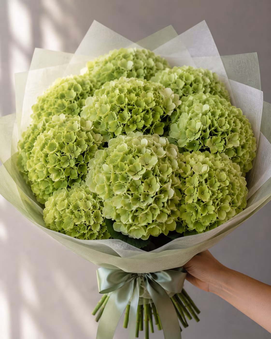 Ortensie verdi - Ortensie verdi: Bouquet · Tempo Lazer Flowers Studio. | Tempo Lazer Flowers Studio, Washington DC florist