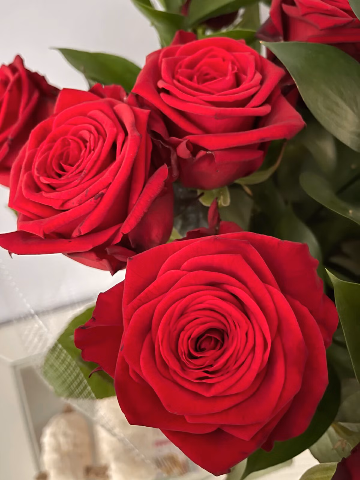 Long-Stem Red Roses One Dozen - Shop Long-Stem Red Roses One Dozen, a premium Bouquet from Tempo Lazer Flowers Studio. | Tempo Lazer Flowers Studio, Washington DC florist