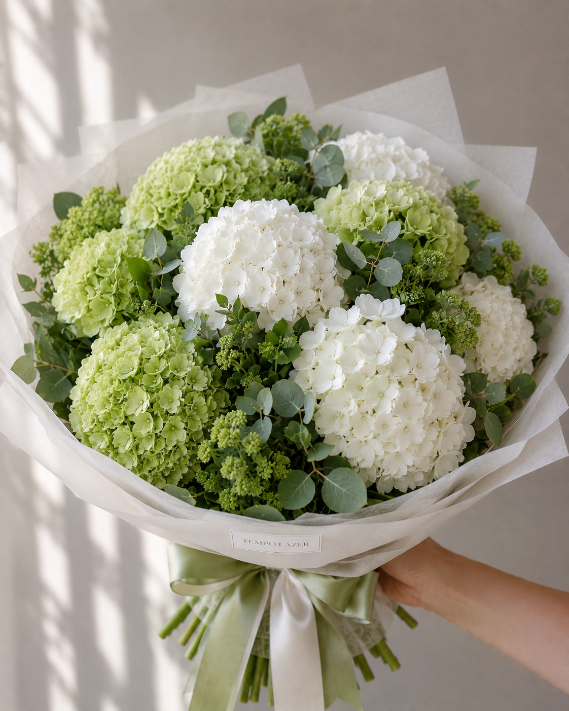 Mixed Hydrangea