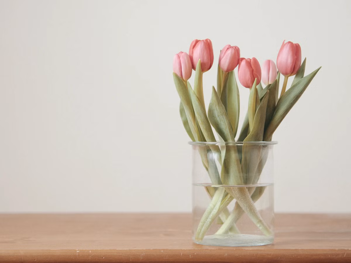 Pastel Rainbow Arrangement - Pastel Rainbow Arrangement: फूल सजावट · Tempo Lazer Flowers Studio. | Tempo Lazer Flowers Studio, Washington DC florist