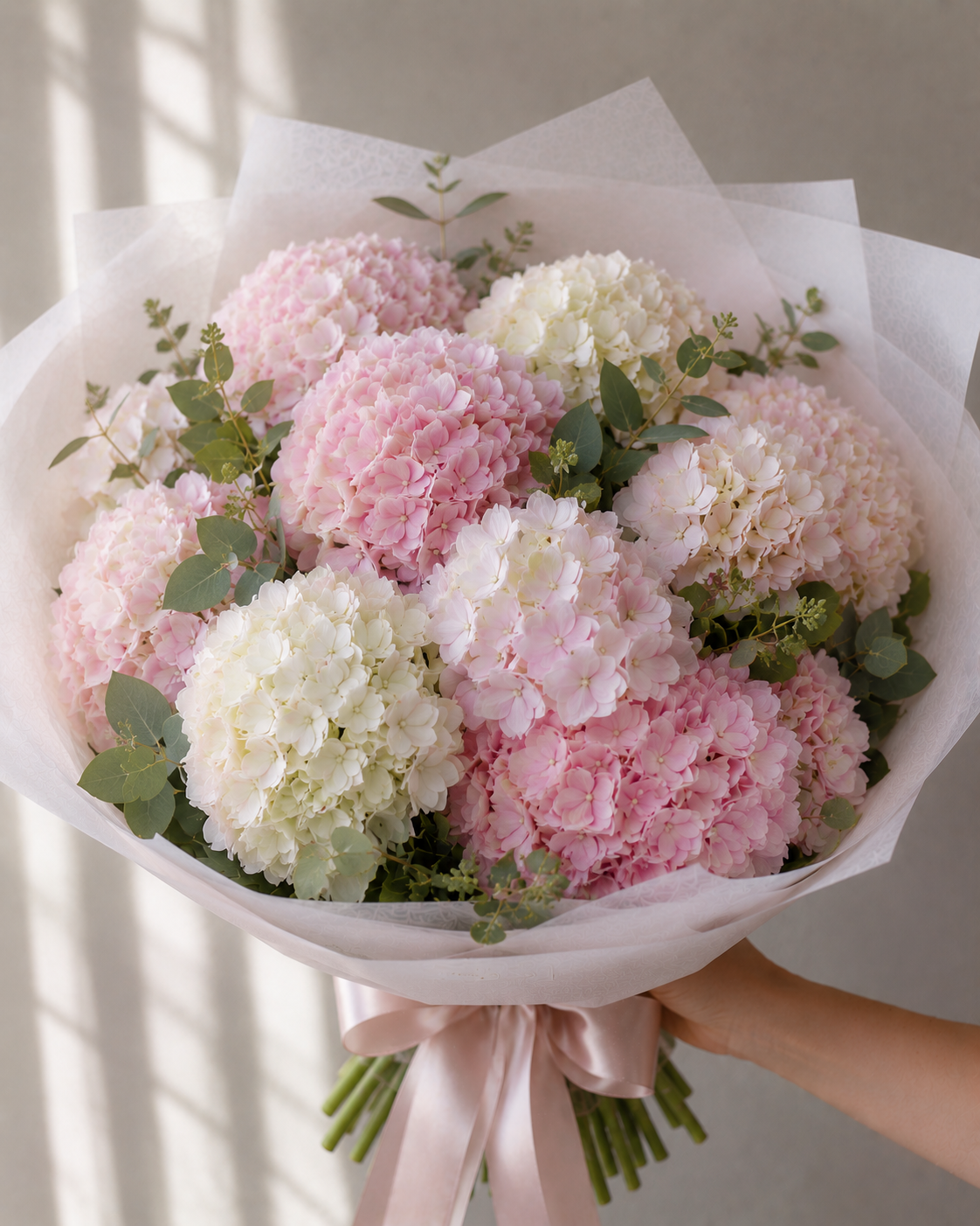 Pink And White Hydrangea