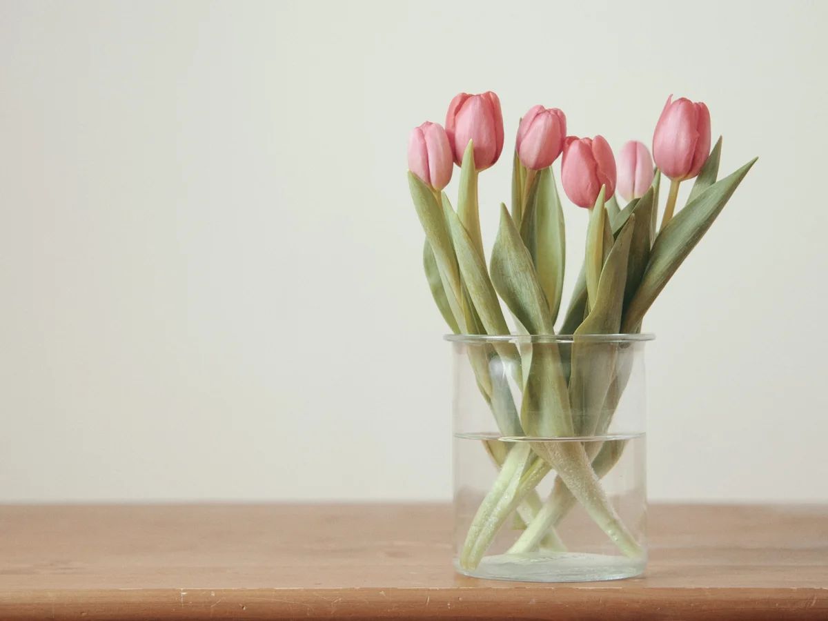Pink Tulips