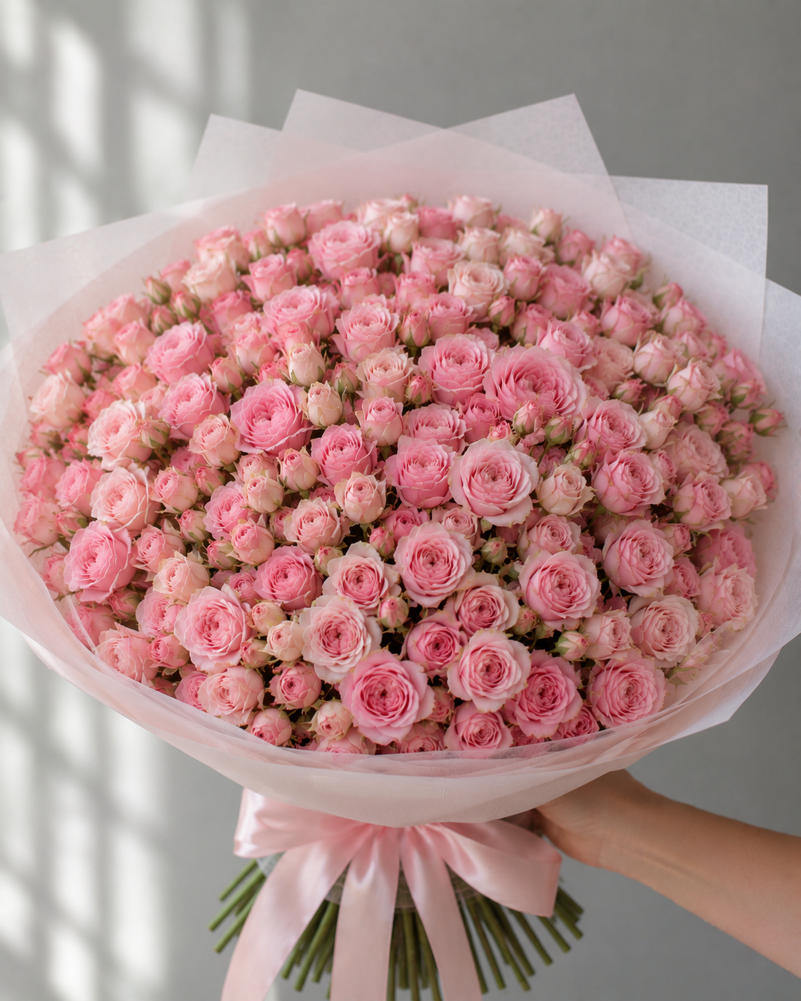 Premium Pink Spray Roses