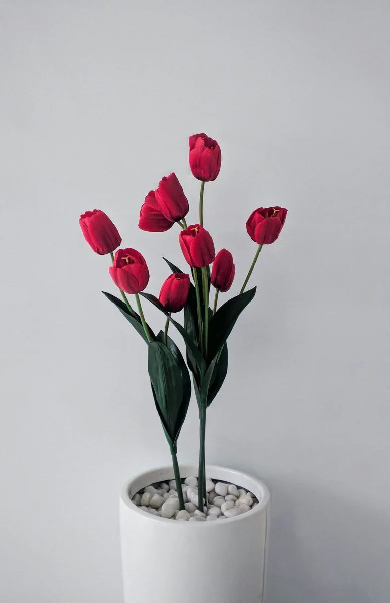 Red Tulips