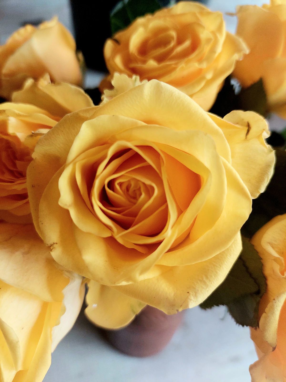 Spring Daffodil Arrangement