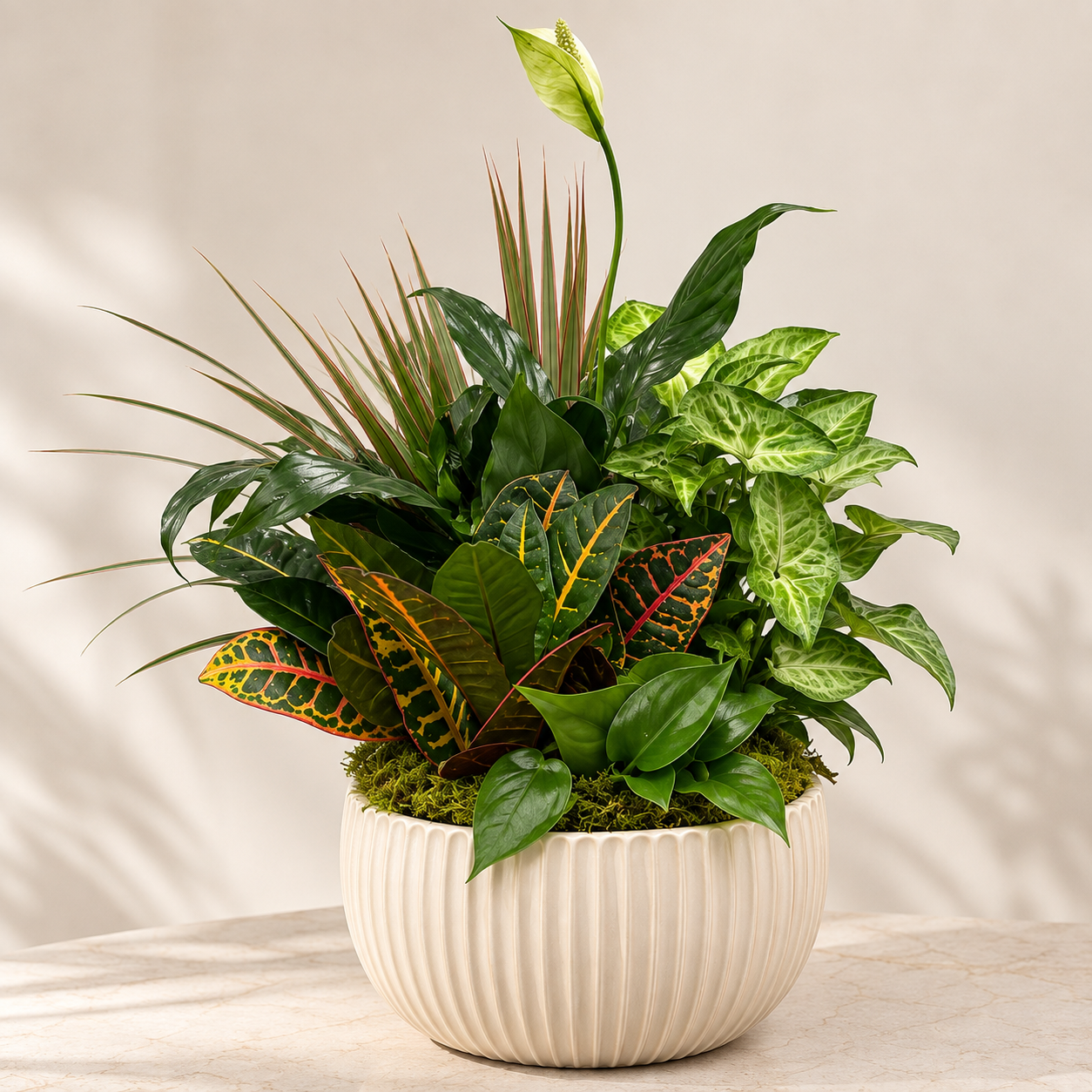 Tropical Garden — Luxury Indoor Plant Arrangement