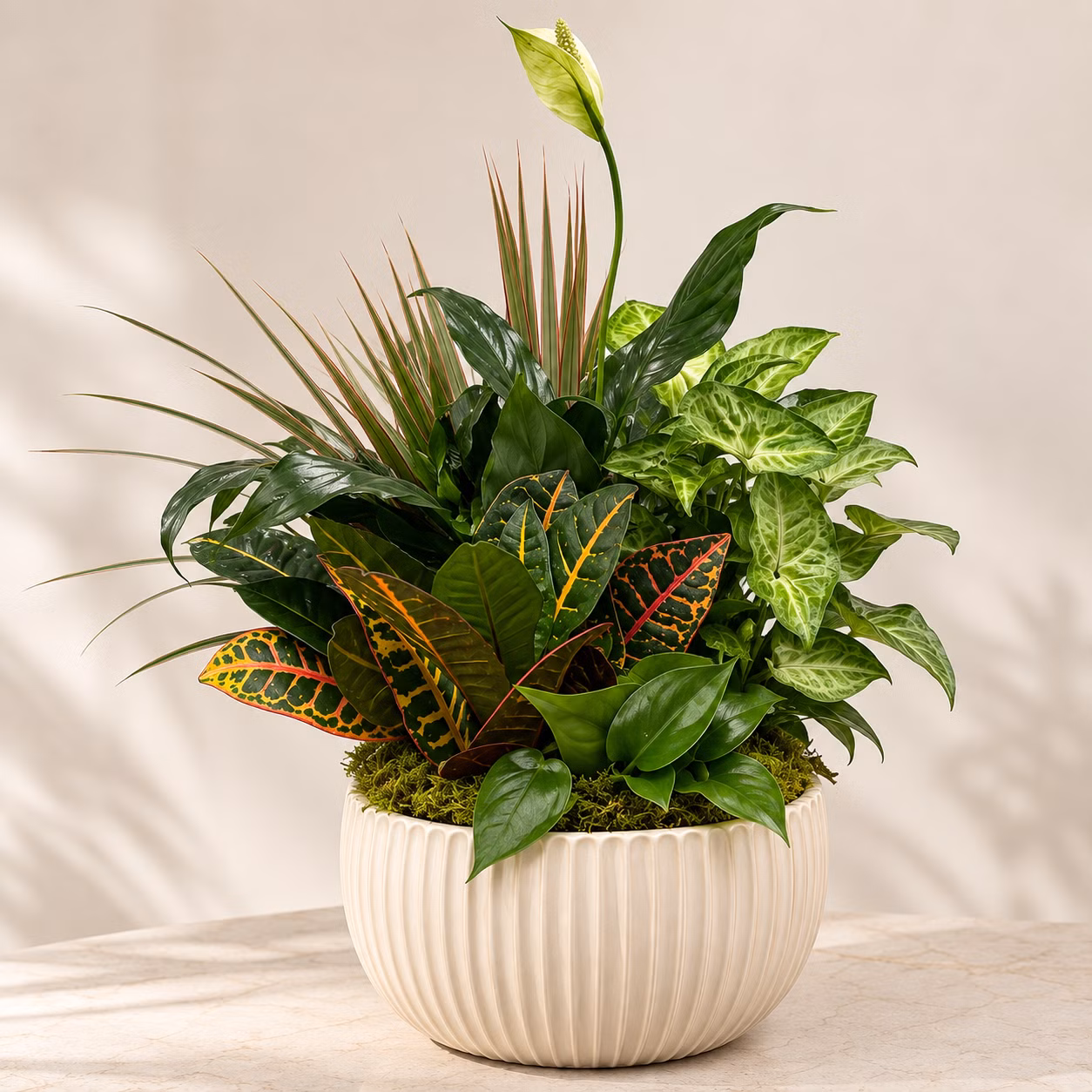 Tropical Garden — Luxury Indoor Plant Arrangement by Tempo Lazer Flowers